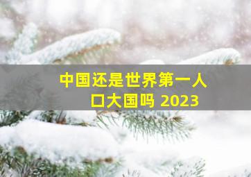 中国还是世界第一人口大国吗 2023